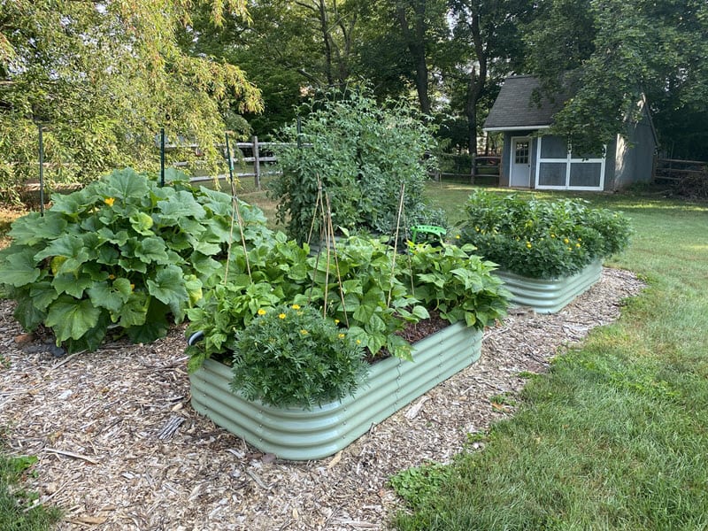 Continuing to Flourish