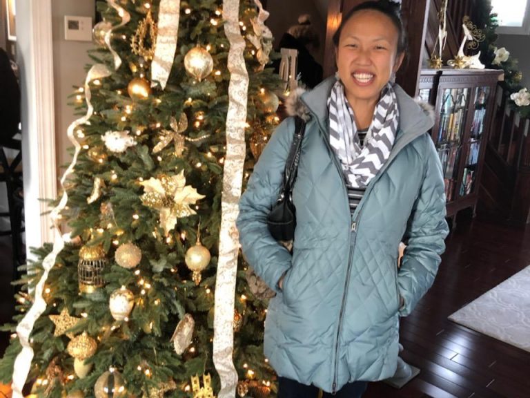 holiday house tour 2019