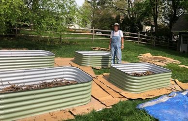 flower bed preparation