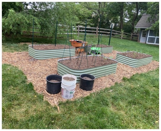 time to plant